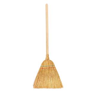 Grass Broom with Handle Small