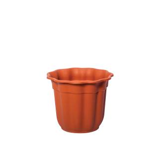 Flowerpot Daisy Νο 430