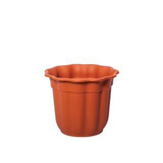 Flowerpot Daisy Νο 431