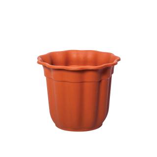 Flowerpot Daisy Νο 433