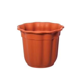 Flowerpot Daisy Νο 434