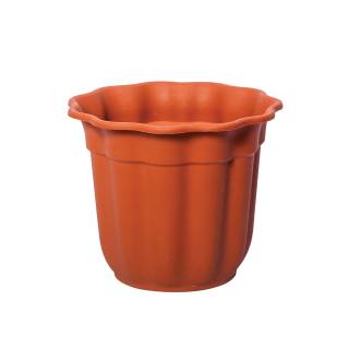 Flowerpot Daisy Νο 435