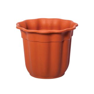 Flowerpot Daisy Νο 436