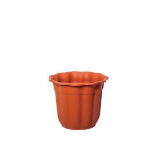 Flowerpot Daisy Νο 429