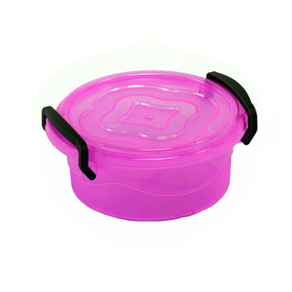 Food Storage Container Picnic Round 300 ml