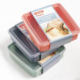 Sandwich Box Fancy 0,5 lt