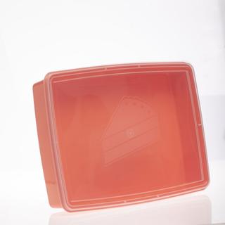 Food container rectangular Sweety 4,2lt